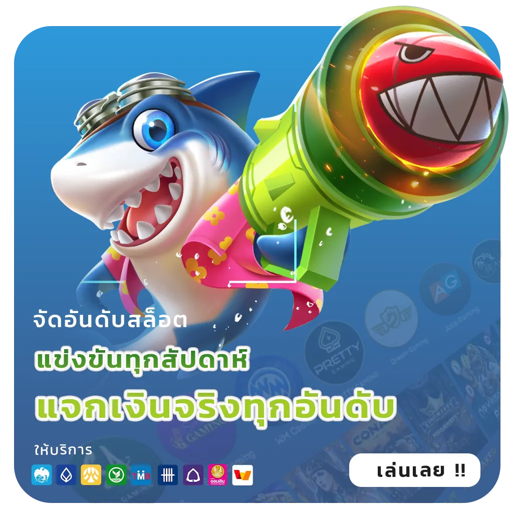 meta2244 แตกหนัก